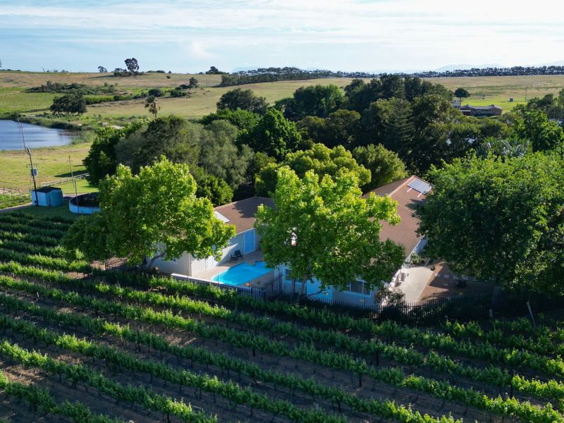 Aerial view of a farm property featuring a swimming pool, solar panels, and extensive surrounding vineyards with a scenic landscape.