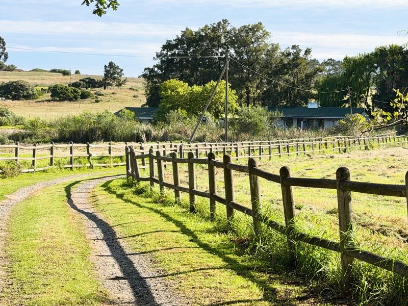 A scenic view of a farm property featuring a gravel driveway, timber post and rail fencing, and expansive green pastures.