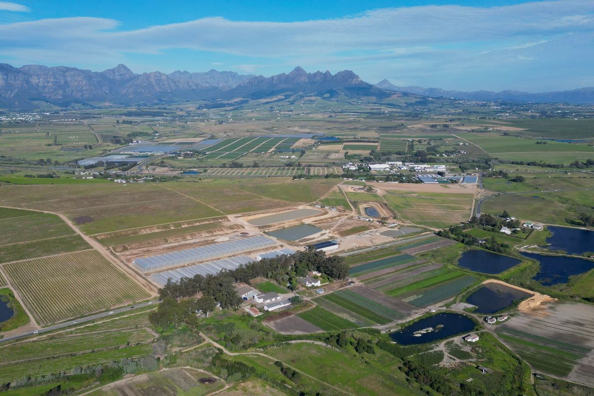 An expansive aerial view of a large farm property featuring multiple irrigation dams, greenhouses, and extensive cultivated agricultural land set against a mountain backdrop.