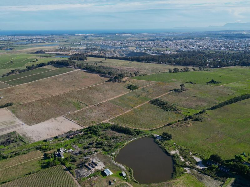Seven Homes, Thirteen Hectares of Vines, One Stellenbosch Address! - Photo 5