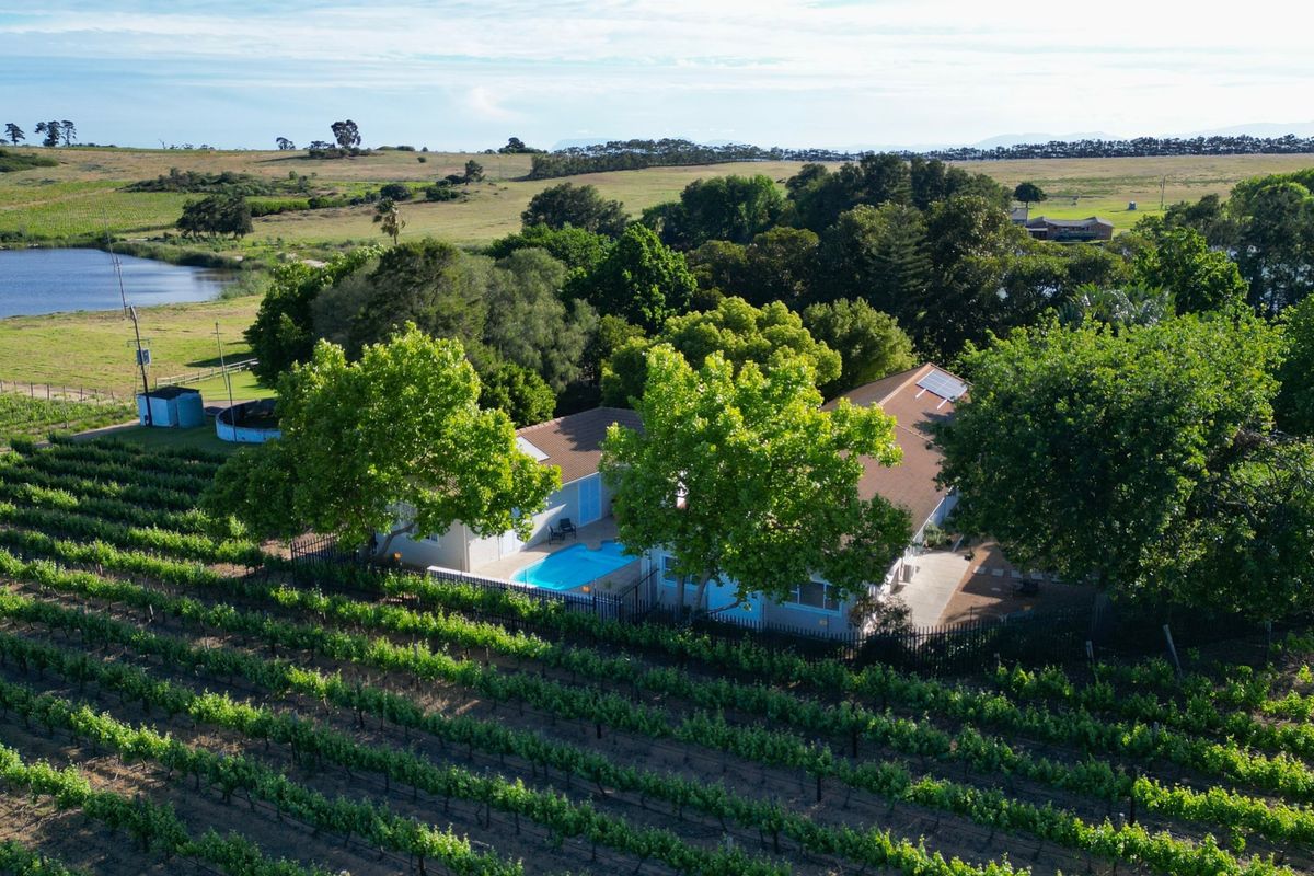Aerial view of a farm property featuring a swimming pool, solar panels, and extensive surrounding vineyards with a scenic landscape.
