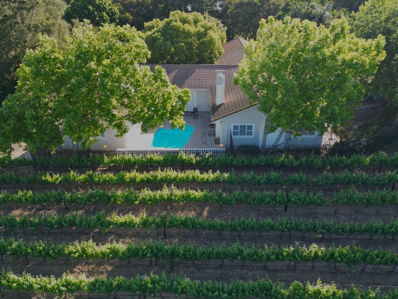 Seven Homes, Thirteen Hectares of Vines, One Stellenbosch Address! - Photo 10