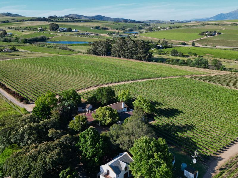 Seven Homes, Thirteen Hectares of Vines, One Stellenbosch Address! - Photo 9