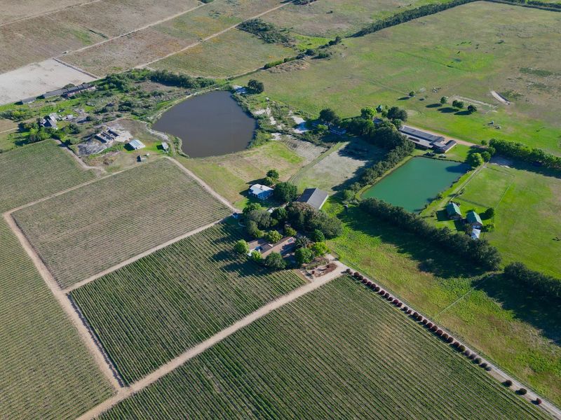 Seven Homes, Thirteen Hectares of Vines, One Stellenbosch Address! - Photo 7
