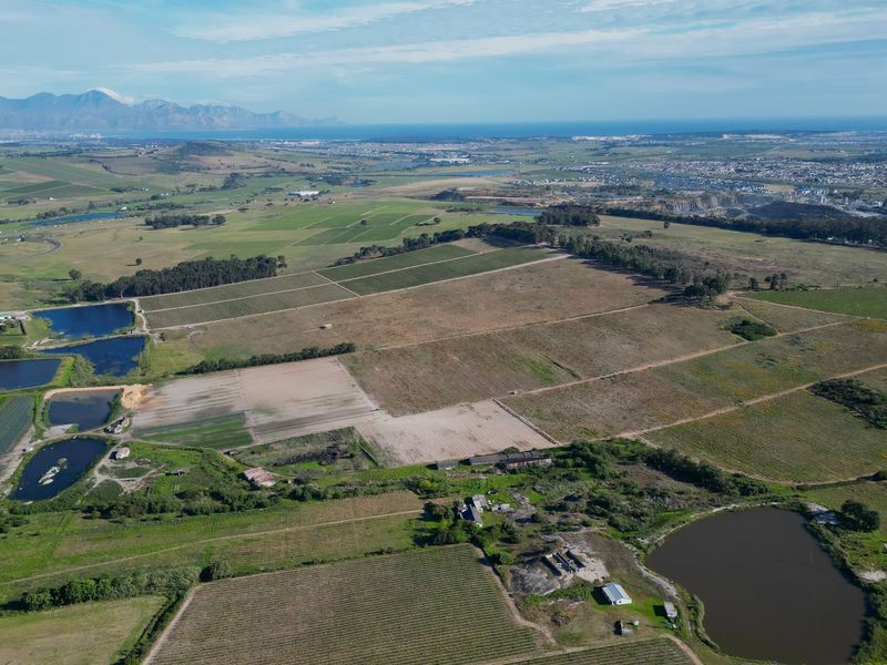 Seven Homes, Thirteen Hectares of Vines, One Stellenbosch Address! - Photo 6
