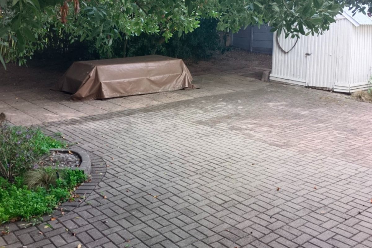 A paved rear patio area featuring a garden shed and established garden beds, offering a functional outdoor space for potential landscaping improvements.