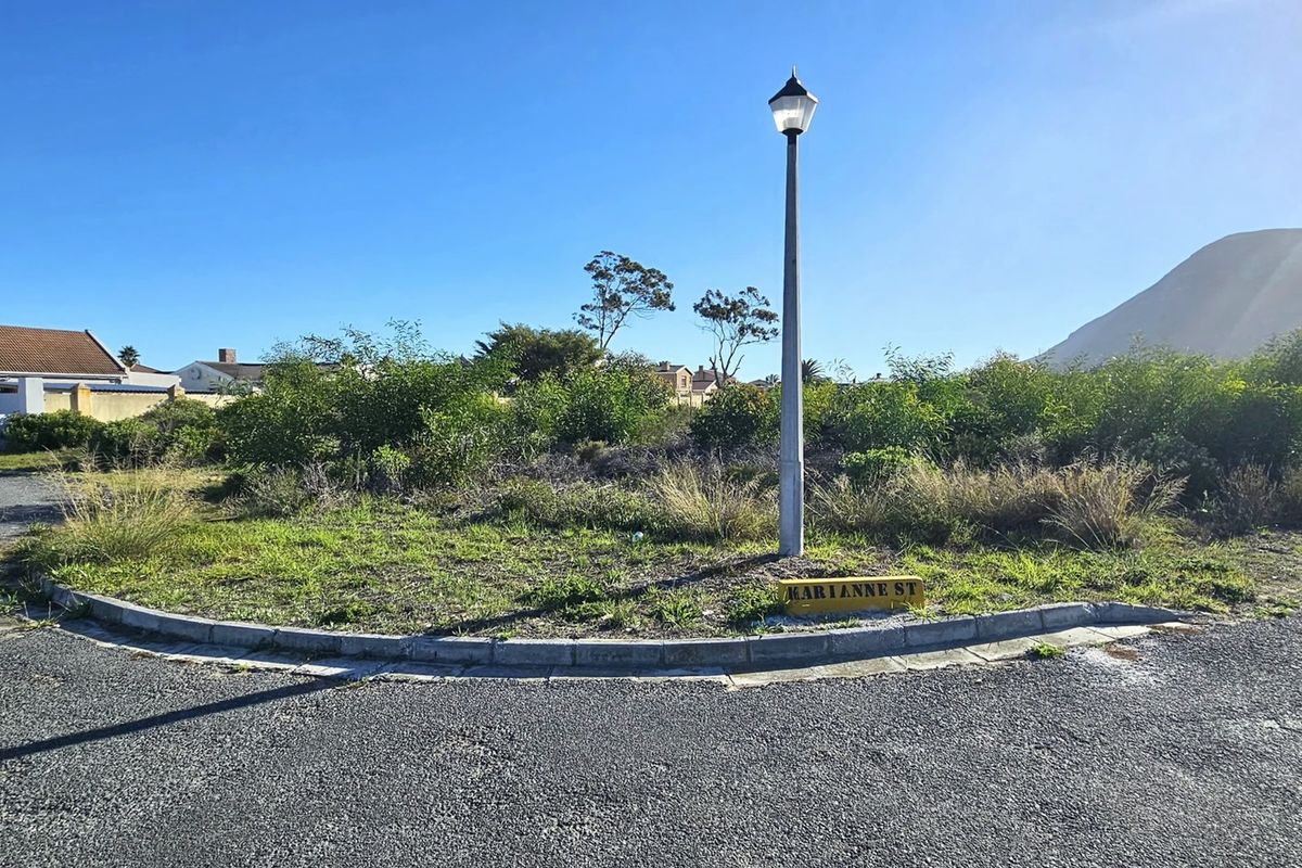 A street-level view of a vacant residential plot featuring a street lamp, curb, and asphalt road frontage.