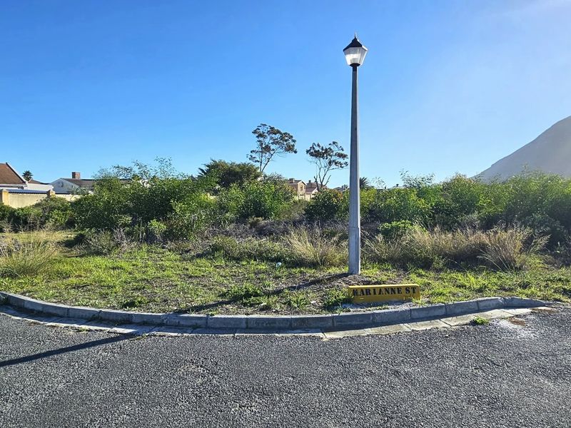 A street-level view of a vacant residential plot featuring a street lamp, curb, and asphalt road frontage.