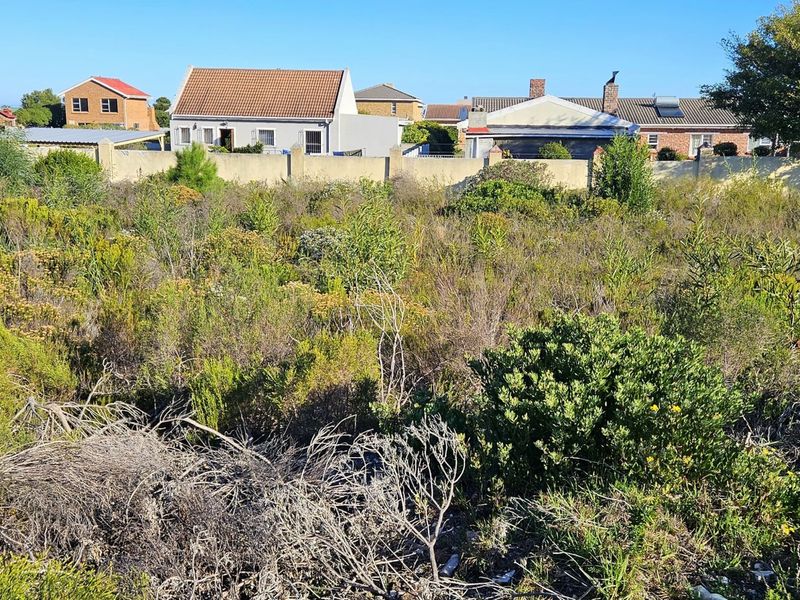 A view of a vacant residential plot covered in natural vegetation, enclosed by a perimeter wall with neighboring houses in the background.