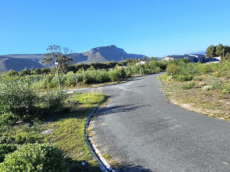 A view of the paved access road within the residential estate, featuring surrounding natural vegetation and scenic mountain views in the background.