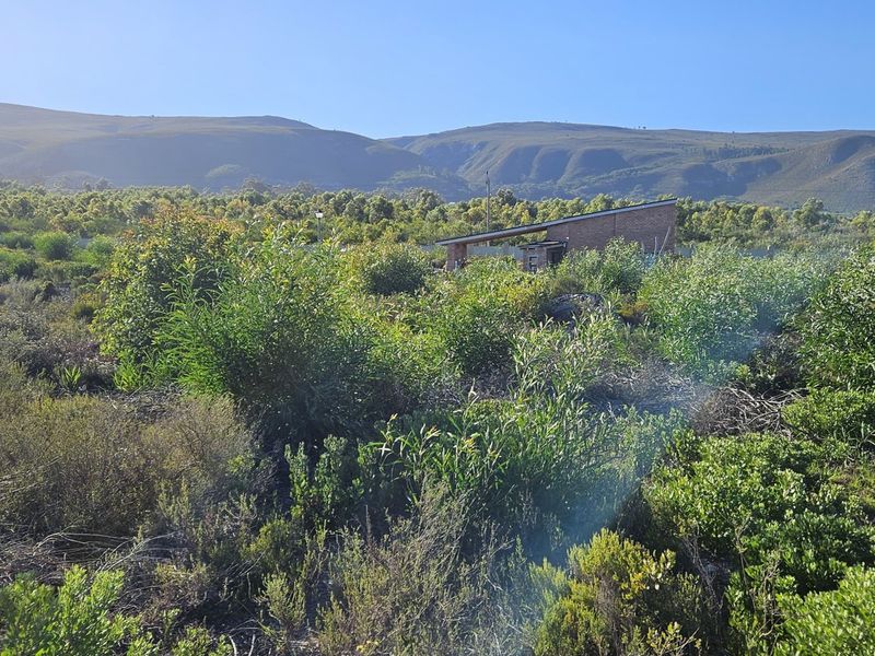 A scenic view of the vacant residential land featuring native vegetation and distant mountain ranges.