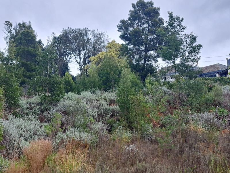 A view of a sloped residential plot featuring established native vegetation and mature trees, offering a natural landscape setting.
