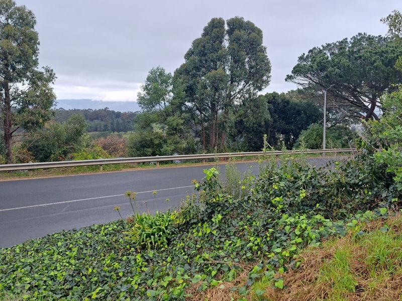 A view of the paved road and metal guardrail bordering the residential land, surrounded by mature trees and natural vegetation.
