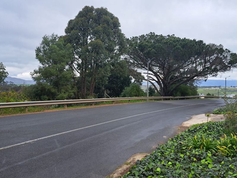 A view of the paved street and metal guardrail bordering the residential land, featuring mature trees and surrounding landscape.
