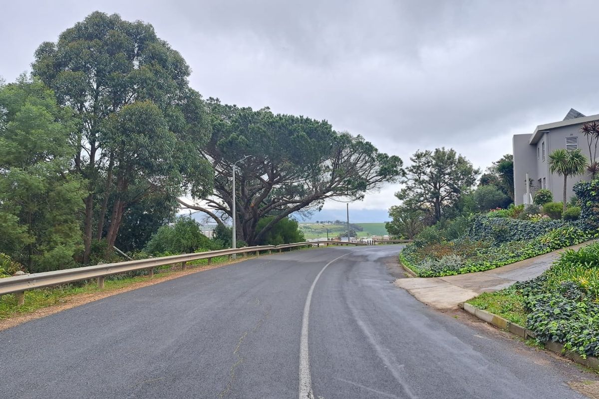 A view of the paved street and surrounding landscape, showing the approach to the residential property with established trees and greenery.