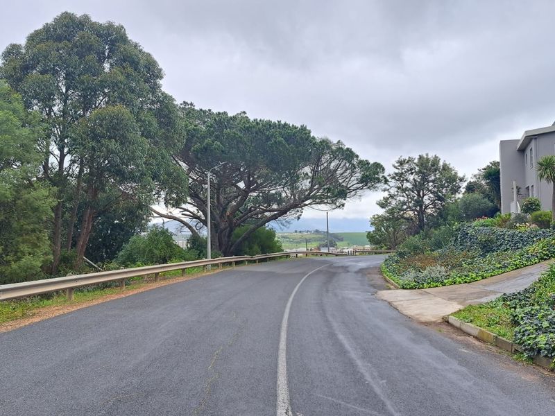 A view of the paved street and surrounding landscape, showing the approach to the residential property with established trees and greenery.