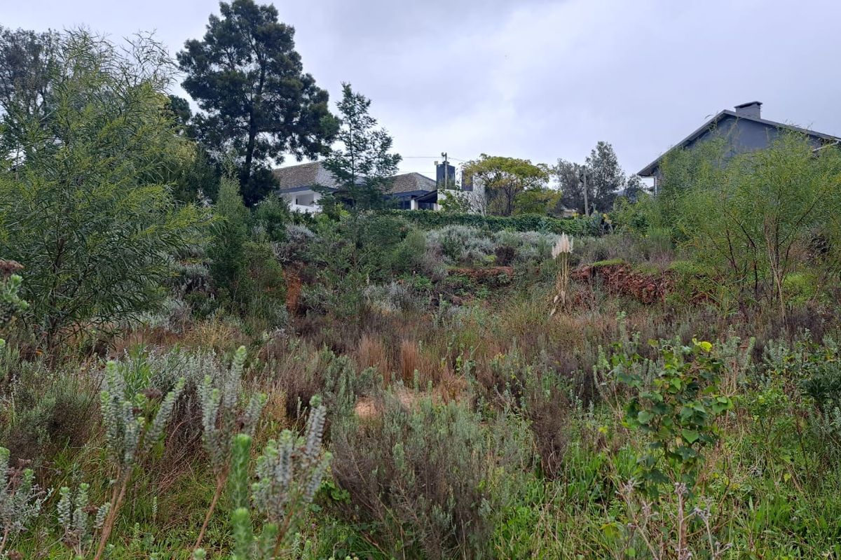 A view of a sloped, undeveloped residential plot featuring natural vegetation and surrounding neighborhood homes.