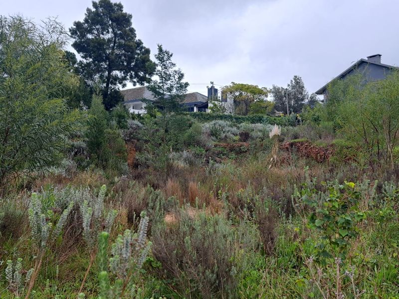 A view of a sloped, undeveloped residential plot featuring natural vegetation and surrounding neighborhood homes.