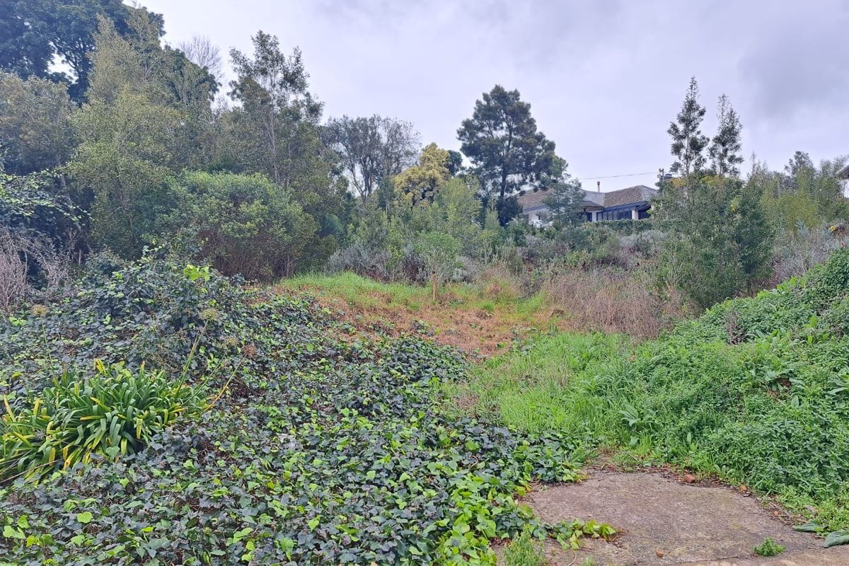 A sloped residential plot featuring established trees, dense vegetation, and a small concrete paved area, offering potential for landscaping or development.