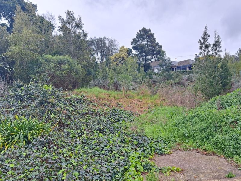 A sloped residential plot featuring established trees, dense vegetation, and a small concrete paved area, offering potential for landscaping or development.