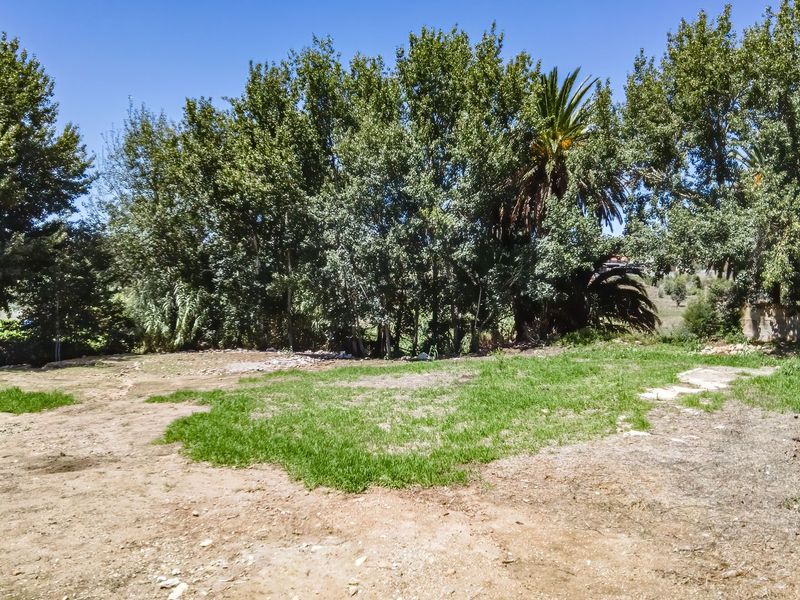 A vacant residential plot featuring natural grass, mature trees, and perimeter wire fencing, offering a clear space for potential development.