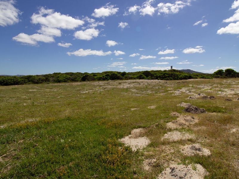 Prime development land - already rezoned for sectional title development and site plan available! - Photo 8