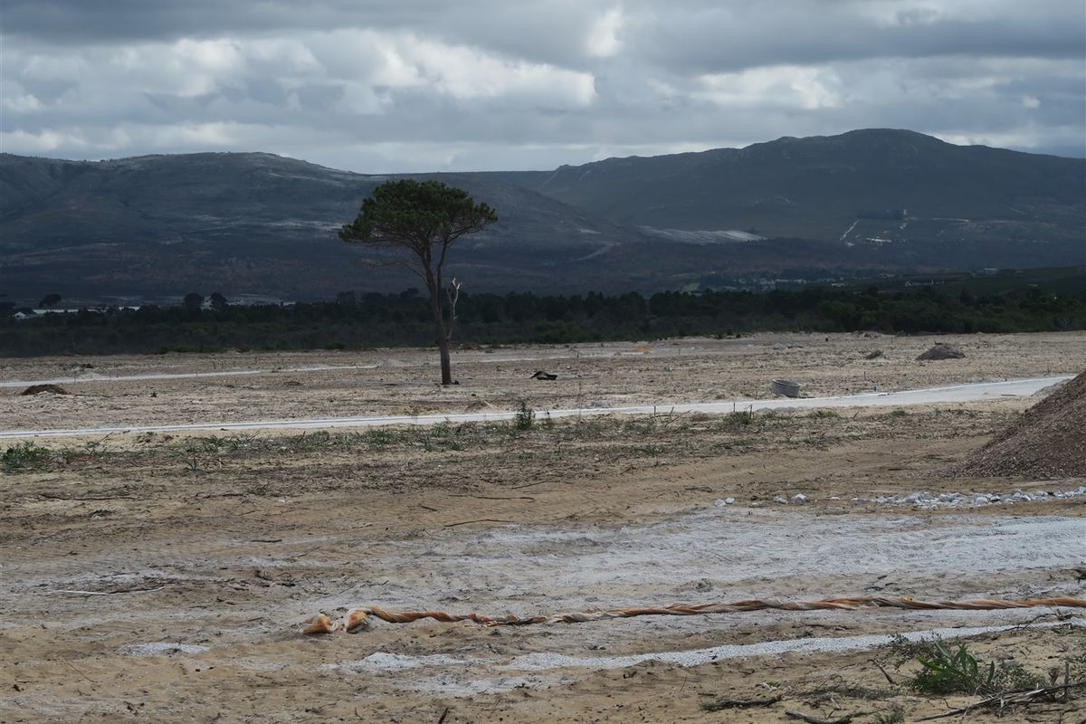 Light Industrial Properties For Sale In Hermanus - Photo 2