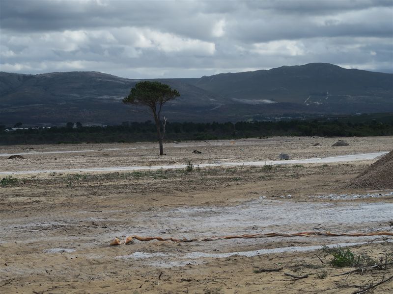 Light Industrial Properties For Sale In Hermanus - Photo 2