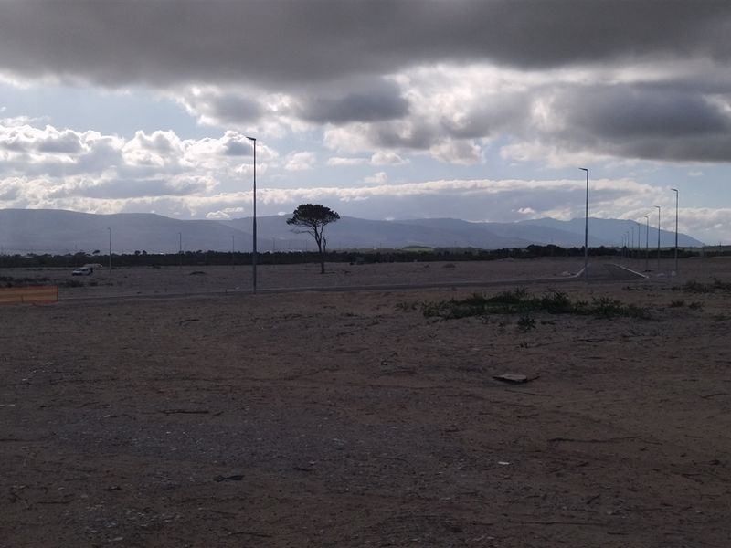 Light Industrial Vacant Stands For Sale In Hermanus - Photo 6