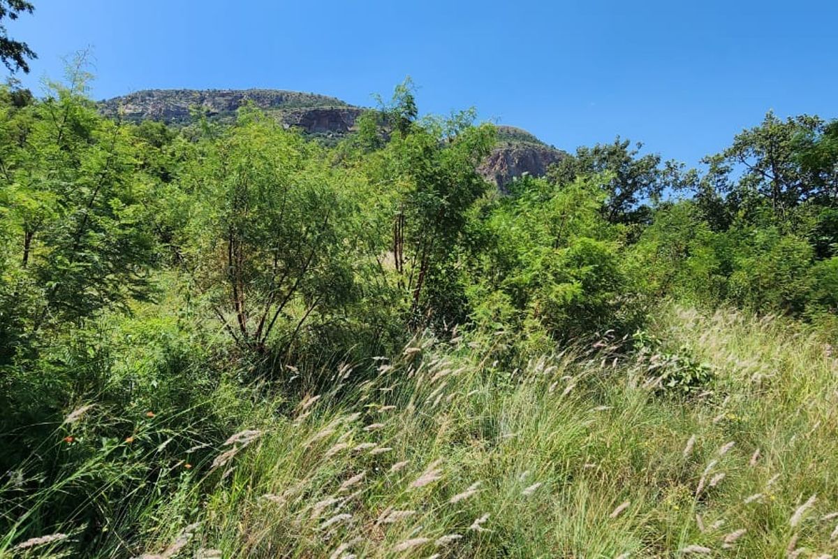 Your dream project awaits on this 925 sqm erf - Photo 2