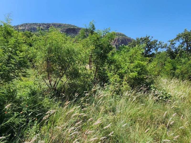 Your dream project awaits on this 925 sqm erf - Photo 2