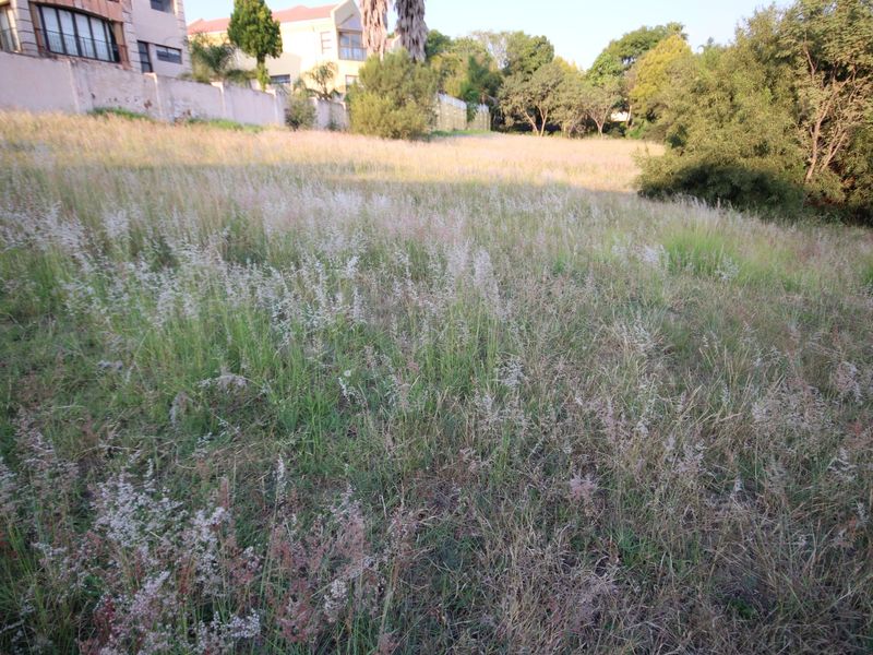 Vacant land for sale in Kosmos Ridge - Photo 9