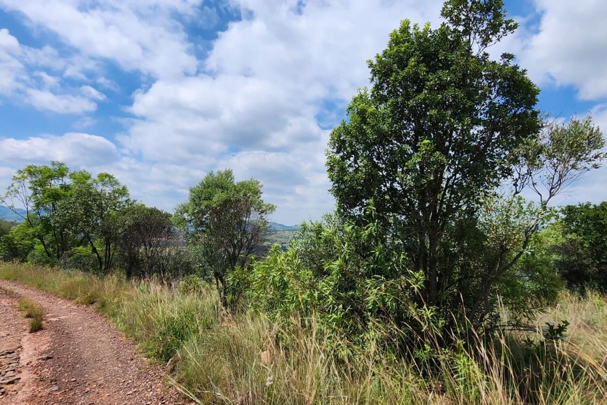 Seize this rare chance to create your perfect sanctuary in one of South Africa’s most picturesque l - Photo 5