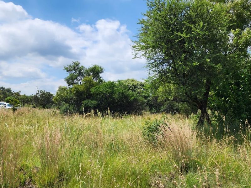 A view of the natural landscape on the small holding, featuring indigenous trees and open grassland under a partly cloudy sky.
