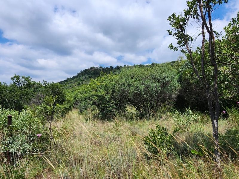A view of the natural landscape and indigenous vegetation on the small holding property.