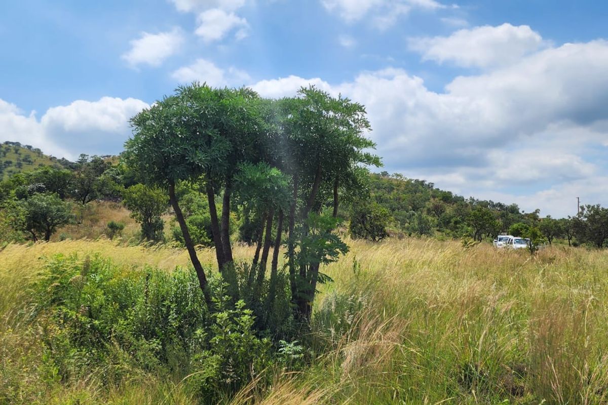 A scenic view of the natural landscape and rolling hills on the small holding property.