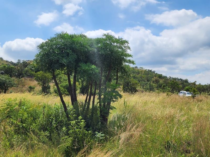 A scenic view of the natural landscape and rolling hills on the small holding property.