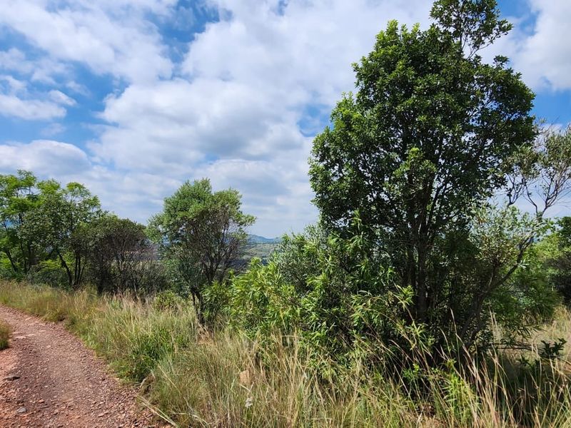 A scenic view of the natural landscape on the small holding, featuring a dirt access path and indigenous vegetation under a cloudy sky.