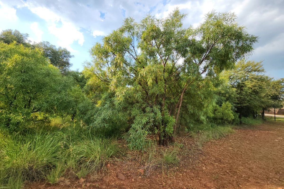 Vacant land in Leloko phase 4 - Photo 4