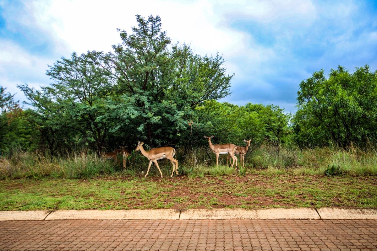 Vacant land in Leloko phase 4 - Photo 5