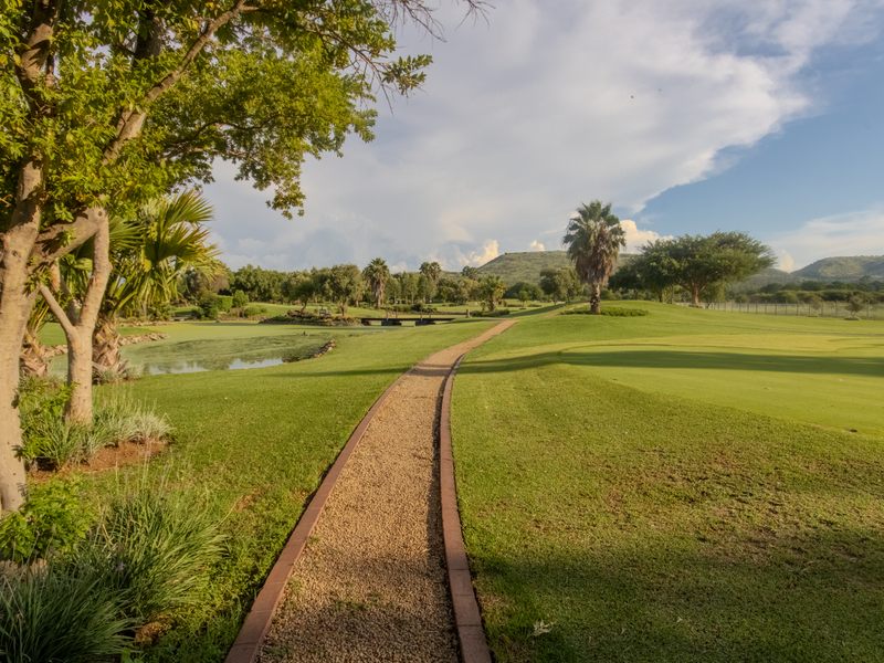 A scenic view of a well-maintained residential estate garden featuring a gravel pathway, lush green lawns, mature trees, and a tranquil pond.
