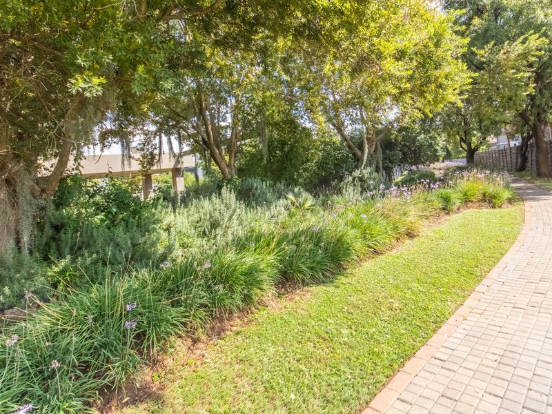 A well-maintained garden area featuring a paved walkway winding through mature trees and established landscaping.