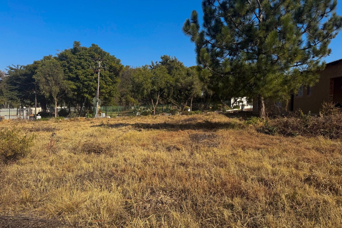 A view of a vacant residential plot featuring mature trees, perimeter fencing, and an existing utility pole on the property.
