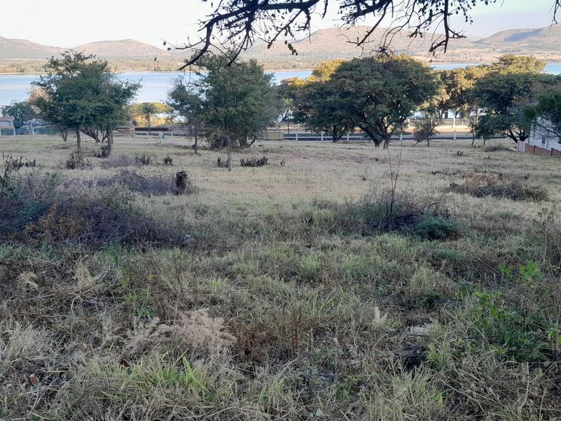 A scenic view of the landscape featuring mature trees and a distant water body, showcasing the natural terrain of the vacant residential land.