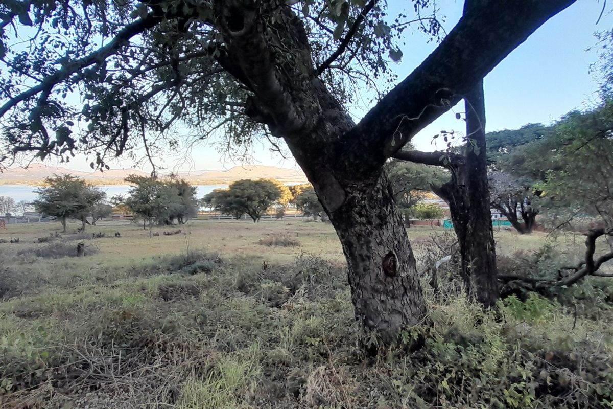 A scenic view of the vacant residential land featuring mature trees and a distant water landscape.