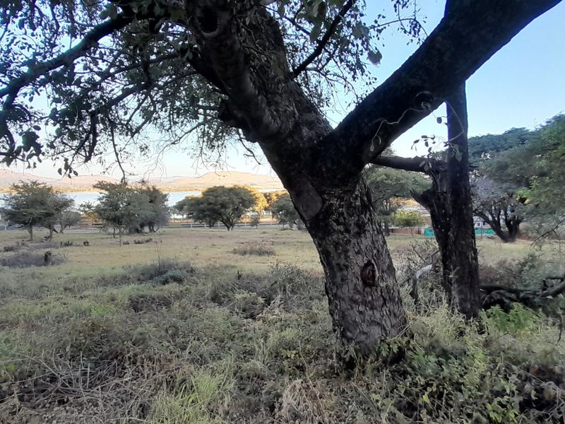 A scenic view of the vacant residential land featuring mature trees and a distant water landscape.