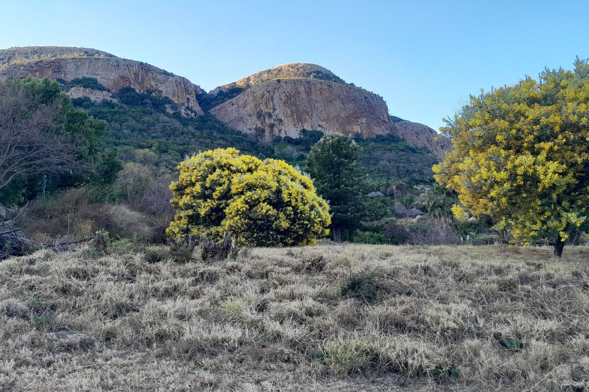 A scenic view of a natural landscape featuring a prominent mountain range and mature trees on a vacant residential plot.