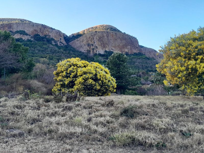 A scenic view of a natural landscape featuring a prominent mountain range and mature trees on a vacant residential plot.