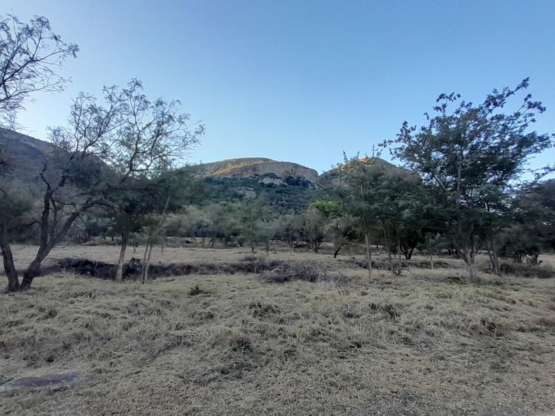 A scenic view of the vacant residential land featuring natural vegetation and mature trees with a mountain backdrop.