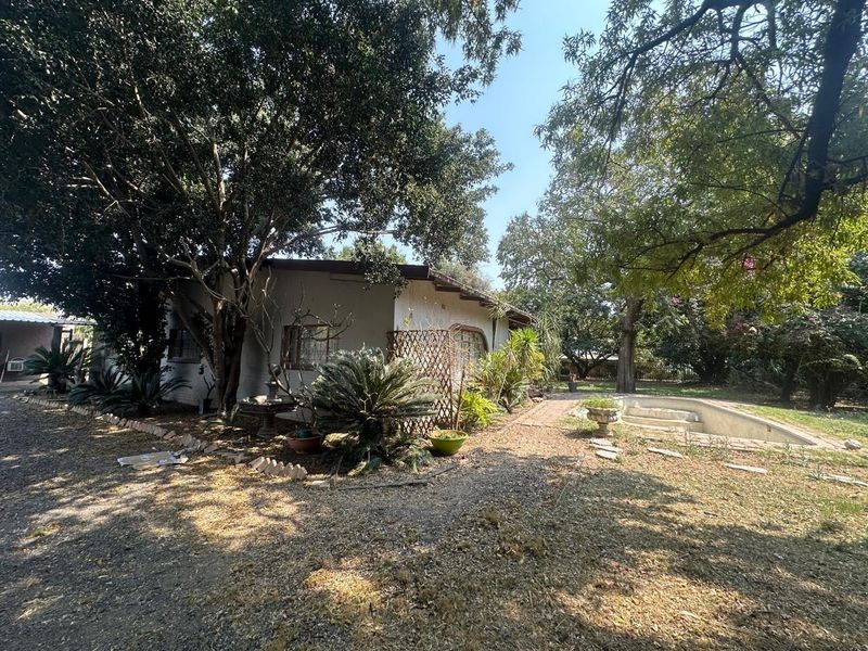 Rear exterior view of the small holding featuring a swimming pool, mature trees, and established garden area requiring maintenance.